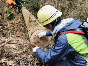 感動体験！建主さん限定イベント 南三陸志津川で自宅で使う大黒柱伐採体験！（今季最終）