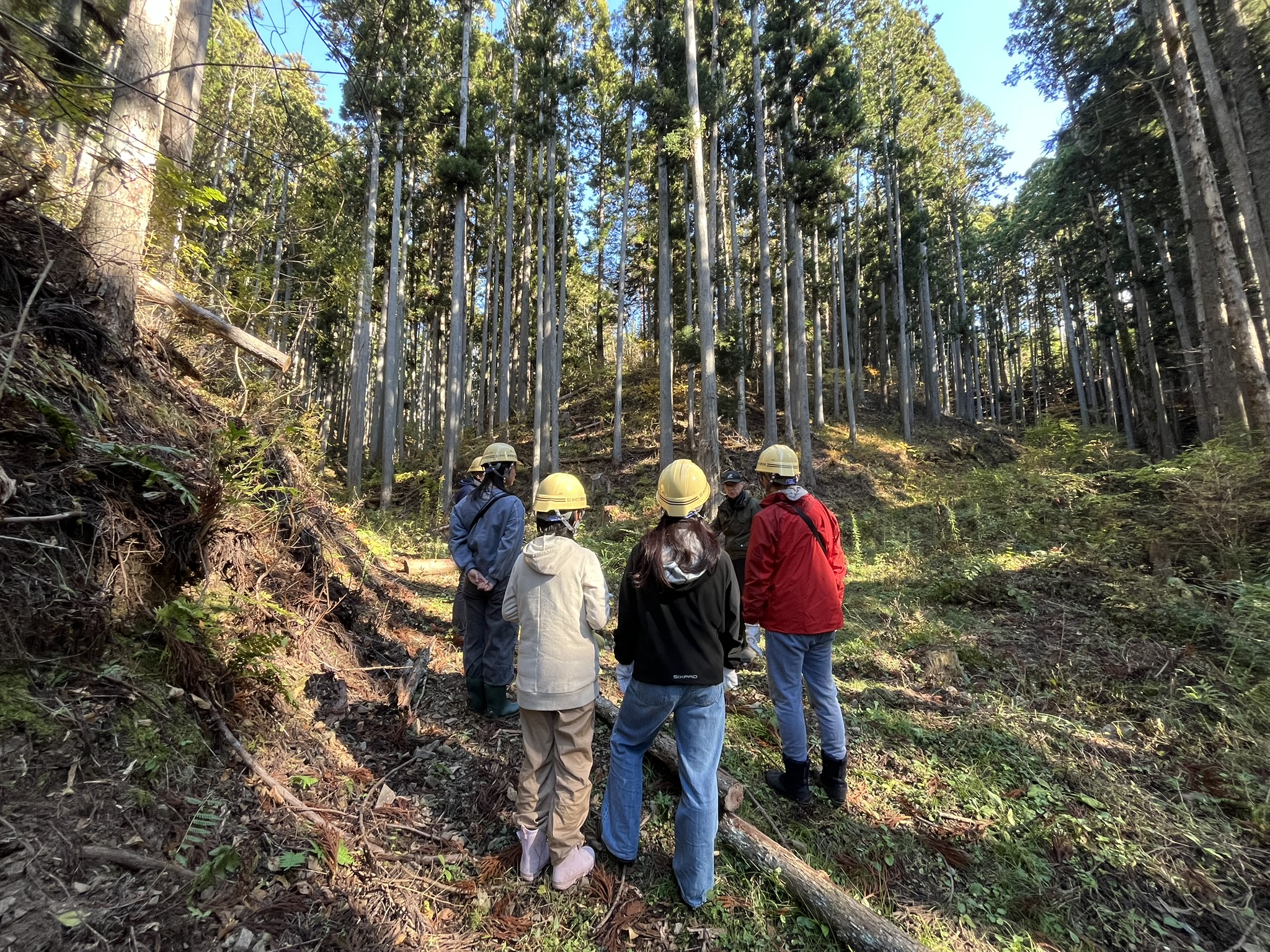 大黒柱伐採（建主さん限定）イベントを行いました！