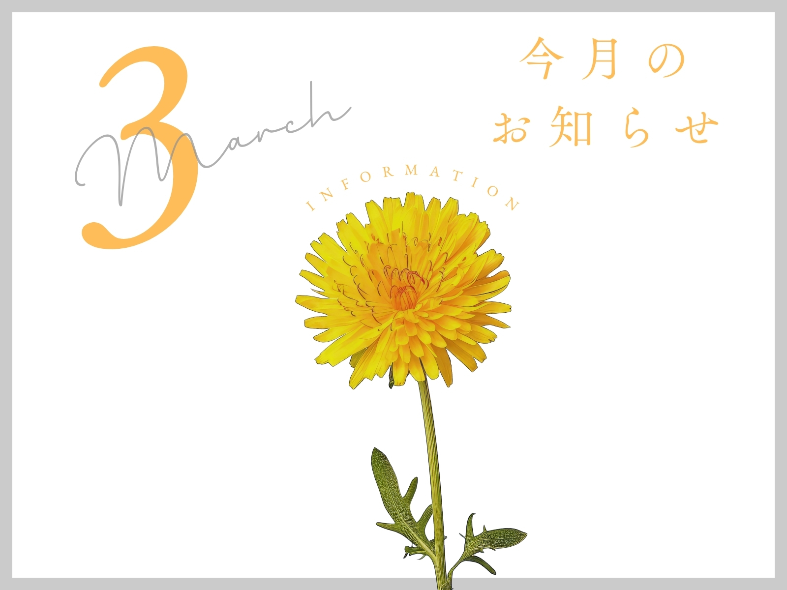 3月のイベント情報