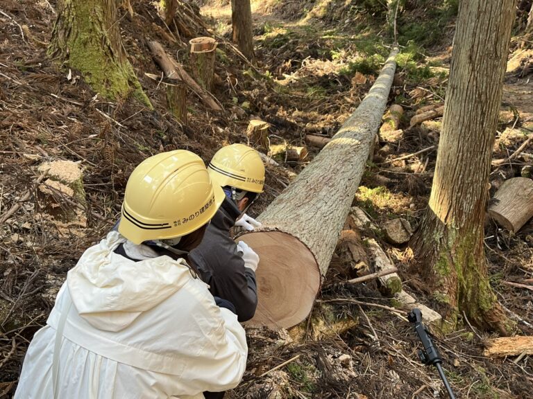 大黒柱伐採（建主さん限定）イベントを行いました！